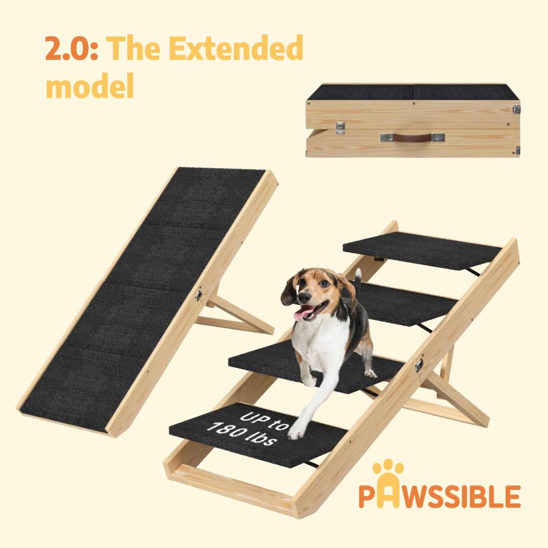 PAWSSIBLE dog ramp with extended model and dog on a beige background