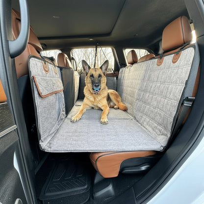 Backseat Barrier