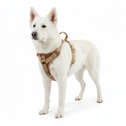 No Pull Dog Harness